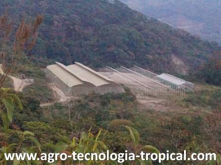 los invernaderos son una buena opcin para tierras de alto valor